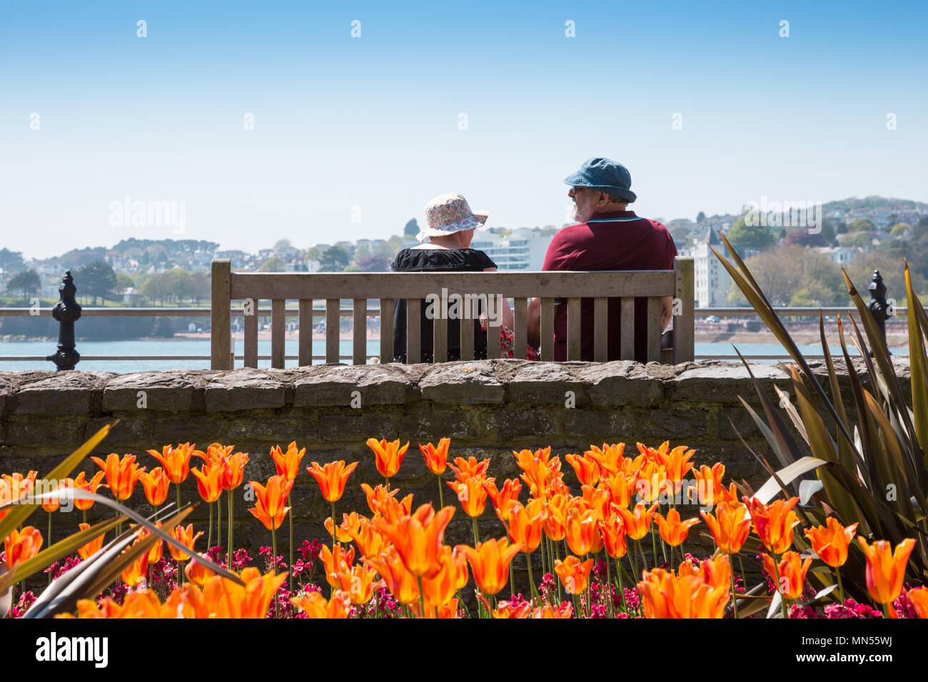 Couple de personnes âgées assis sur un banc de fleurs en premier plan, profiter du soleil, Torquay, Devon, UK Banque D'Images