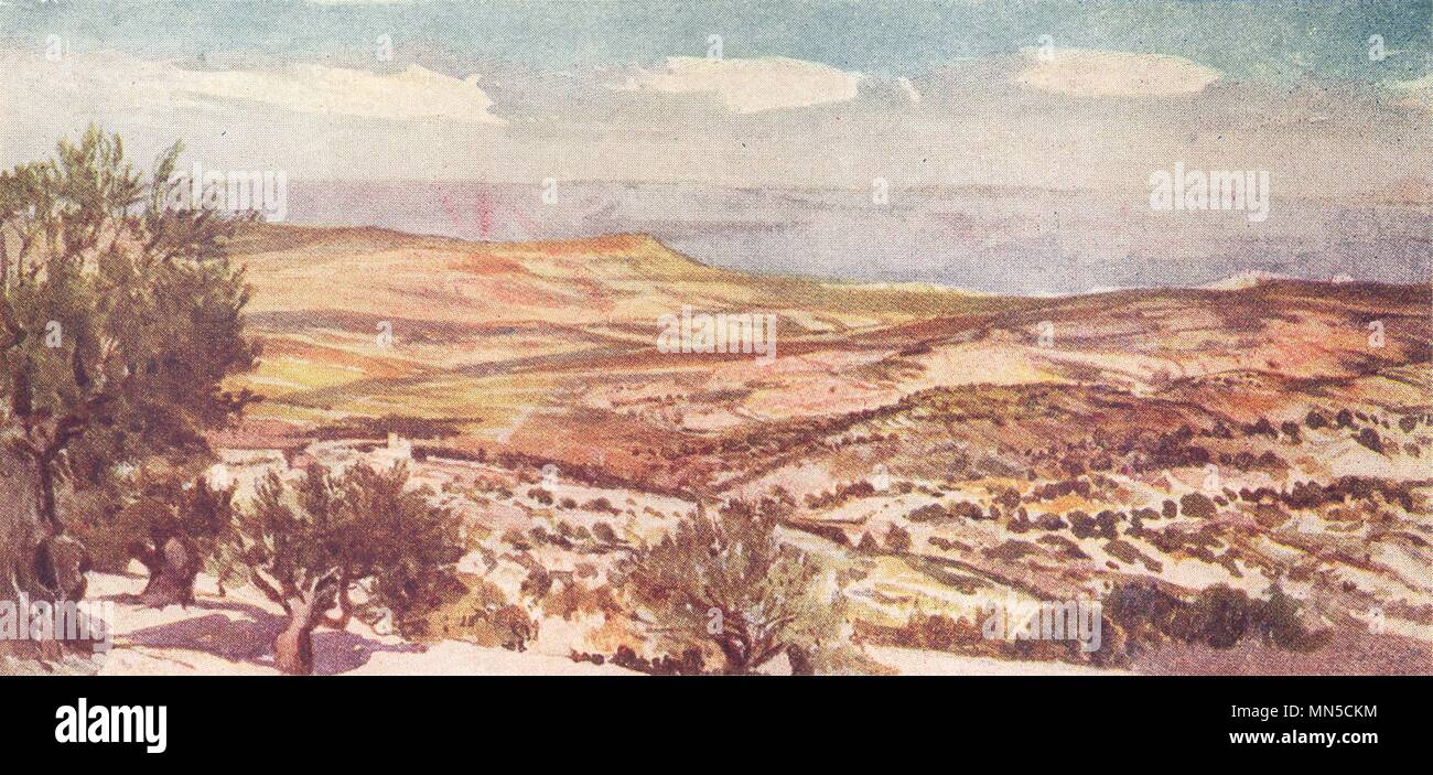 Israël. Les domaines de Ruth et Boaz près de Bethléem 1902 vieux ancien Banque D'Images