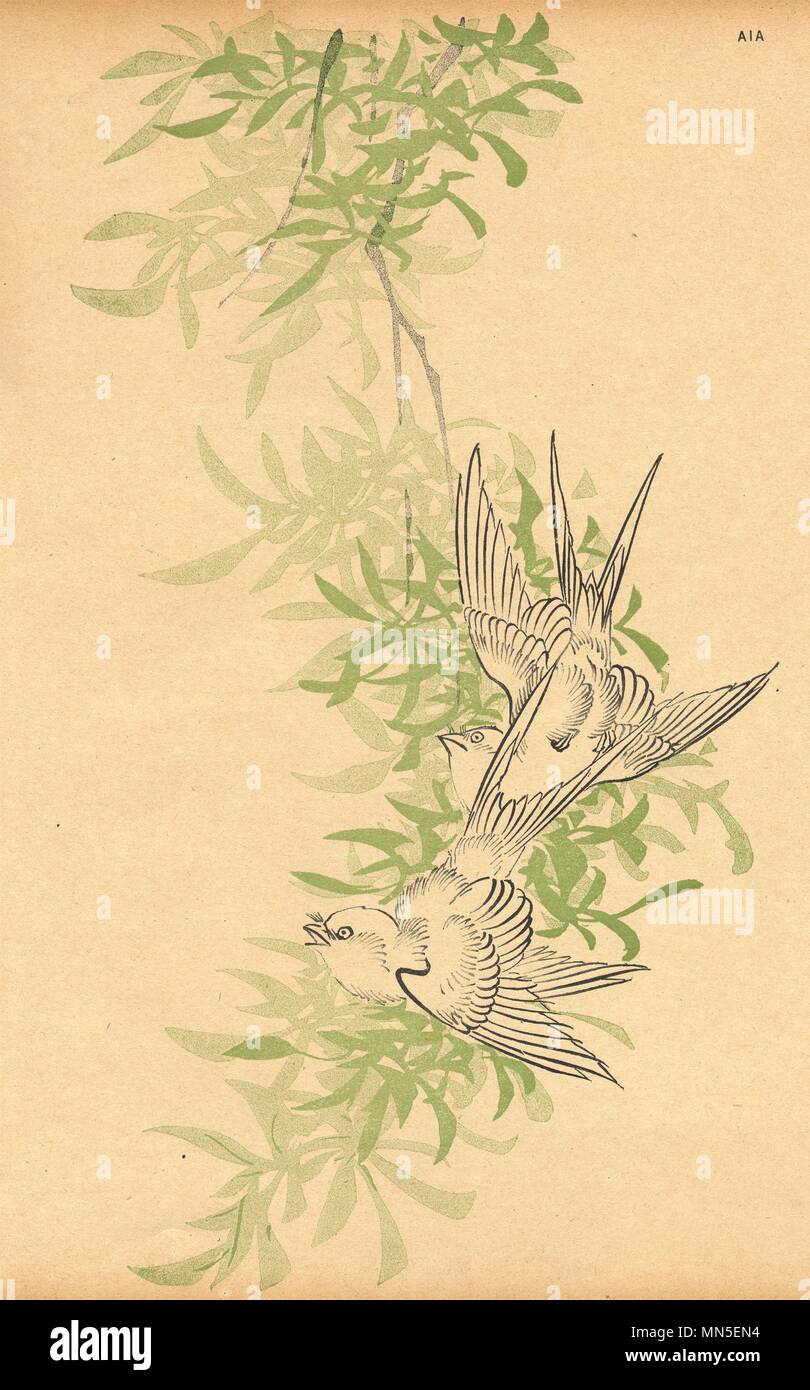 Le JAPON. Les oiseaux. Par Sugakudo 1890 ancienne vintage print photo Banque D'Images