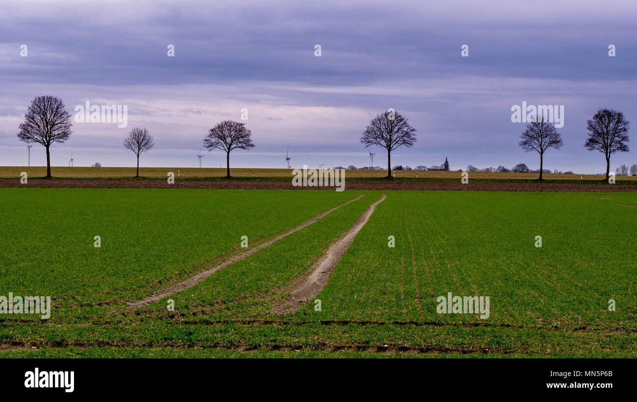 Traktor les voies menant vers la ligne des arbres avec les moteurs à vent dans l'arrière-plan Banque D'Images