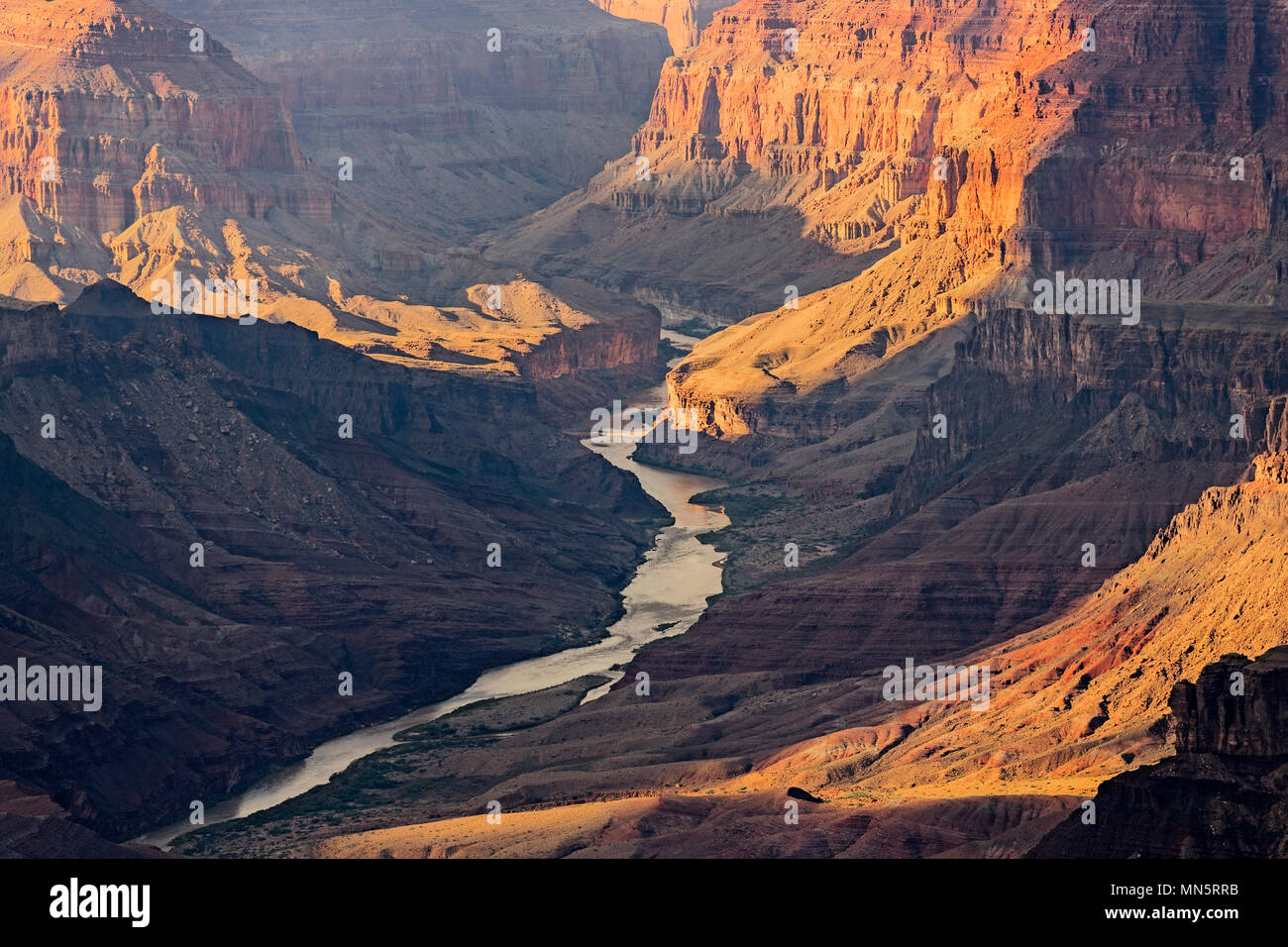 Grand Canyon et la rivière Colorado, Arizona, USA Banque D'Images