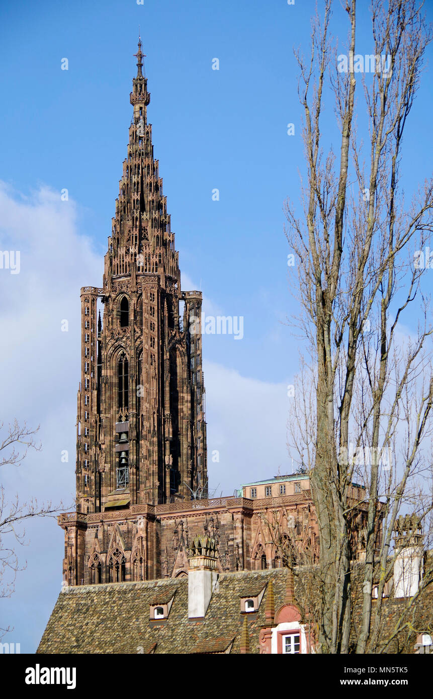 Le haut, flèche de style gothique tardif ou la Cathédrale Notre Dame de Strasbourg, vu depuis le niveau du sol, dans un quartier voisin. Banque D'Images