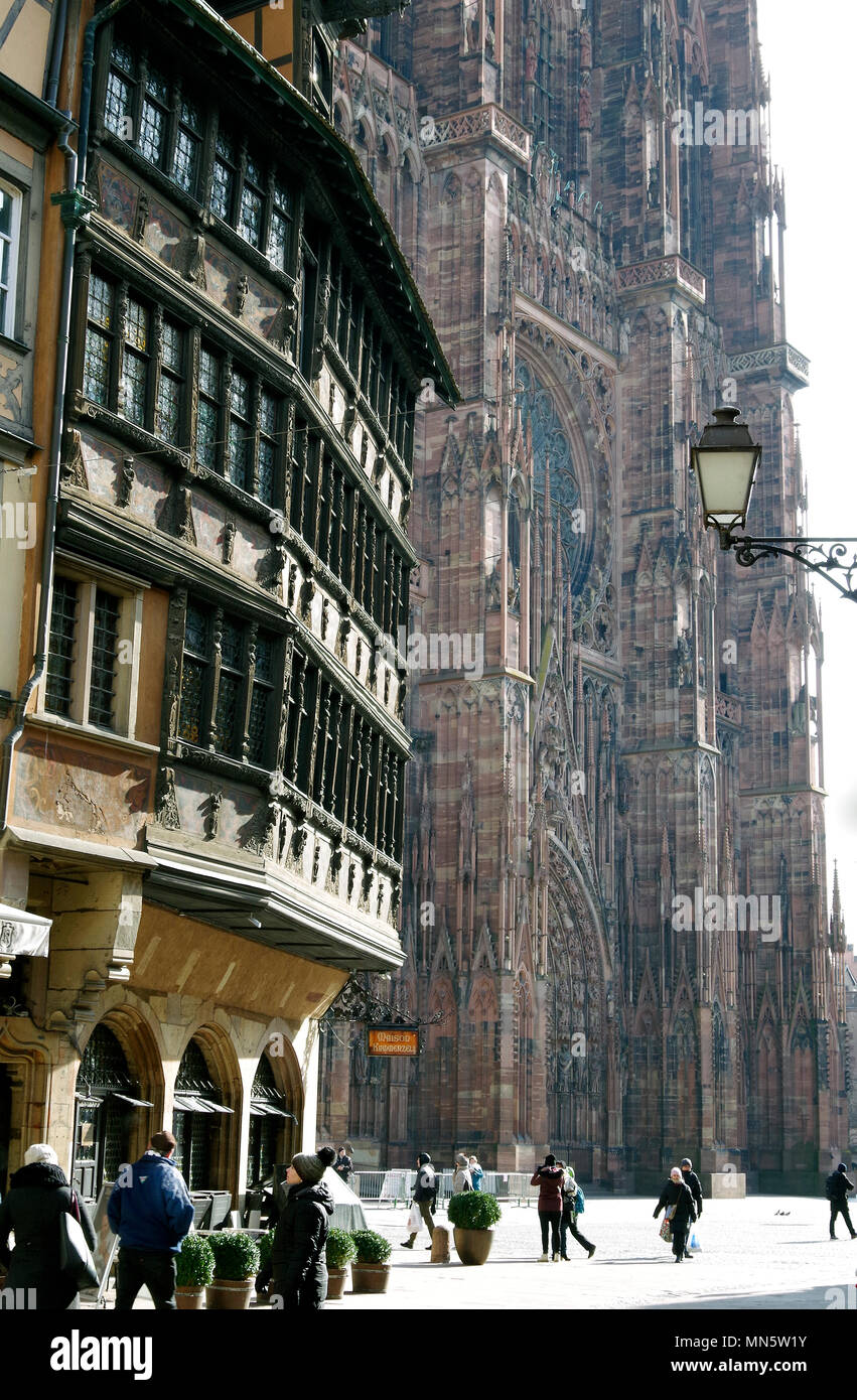 Cité médiévale Strasbourg, grand bâtiment à colombages avec Cathédrale Notre Dame de Strasbourg se dressant au dessus de lui comme une falaise de pierre rose Banque D'Images
