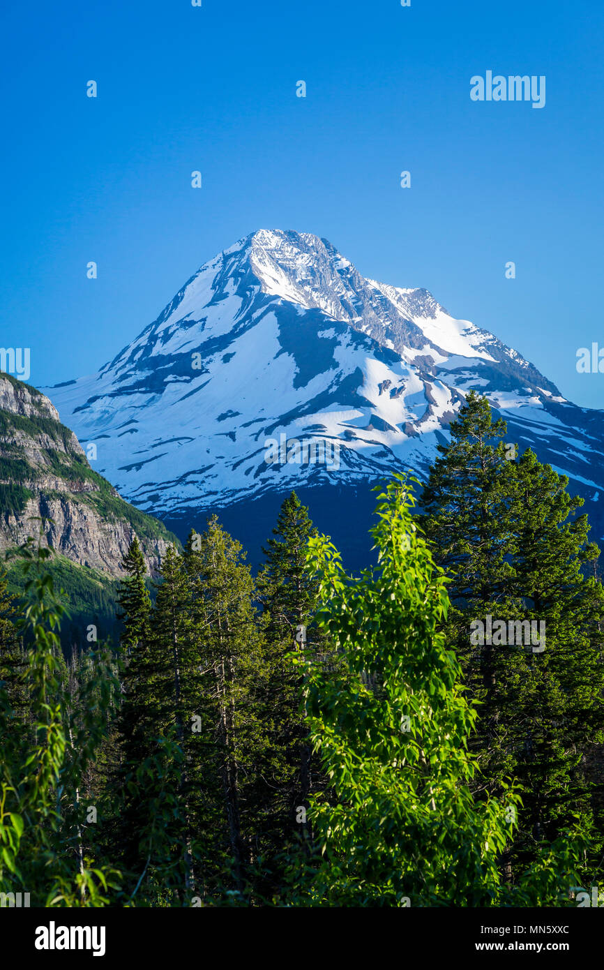 Paysage alpin avec Mount Jackson couvertes de neige près de St Mary Lake dans le Glacier National Park, Montana, USA. Banque D'Images
