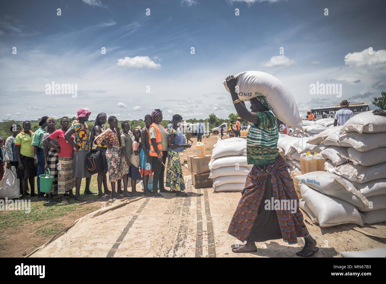 Les réfugiés sud-soudanais une femelle vu portant un sac de 50 kg de farine de manioc sur le dessus de la tête alors que d'autres jusqu'à obtenir leur approvisionnement alimentaire. La Bidi Bidi l'établissement des réfugiés dans le nord de l'Ouganda, près de la frontière avec le Soudan du Sud est actuellement le plus grand camp de réfugiés au monde, accueillant plus de 250 000 réfugiés soudanais du sud fuyant le conflit. Le programme alimentaire mondial fournit des approvisionnements alimentaires de base mensuel pour les réfugiés dans le règlement. Banque D'Images