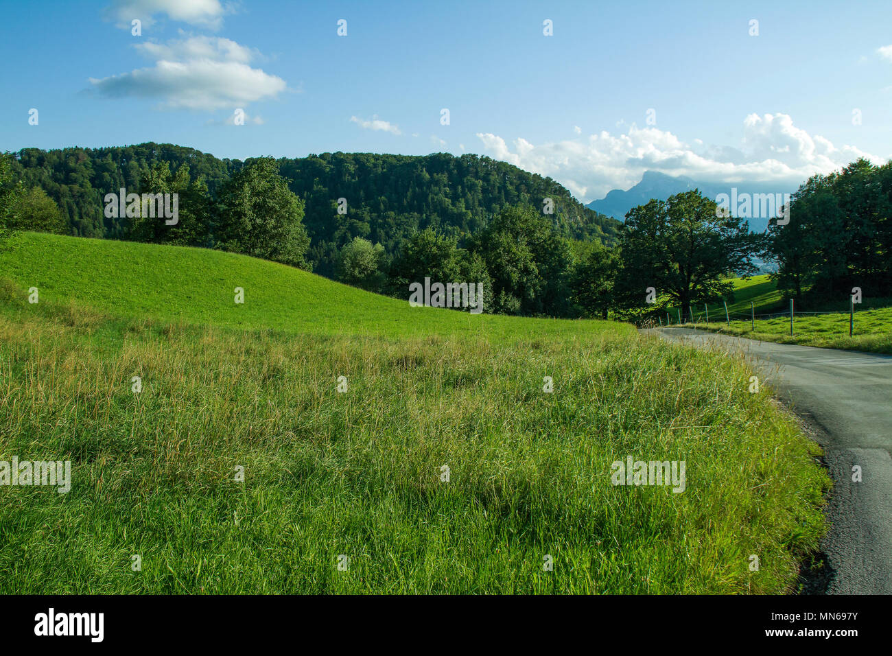 Salzburg Autriche, Heuberg à la fin de l'été, l'automne sur une journée ensoleillée Banque D'Images