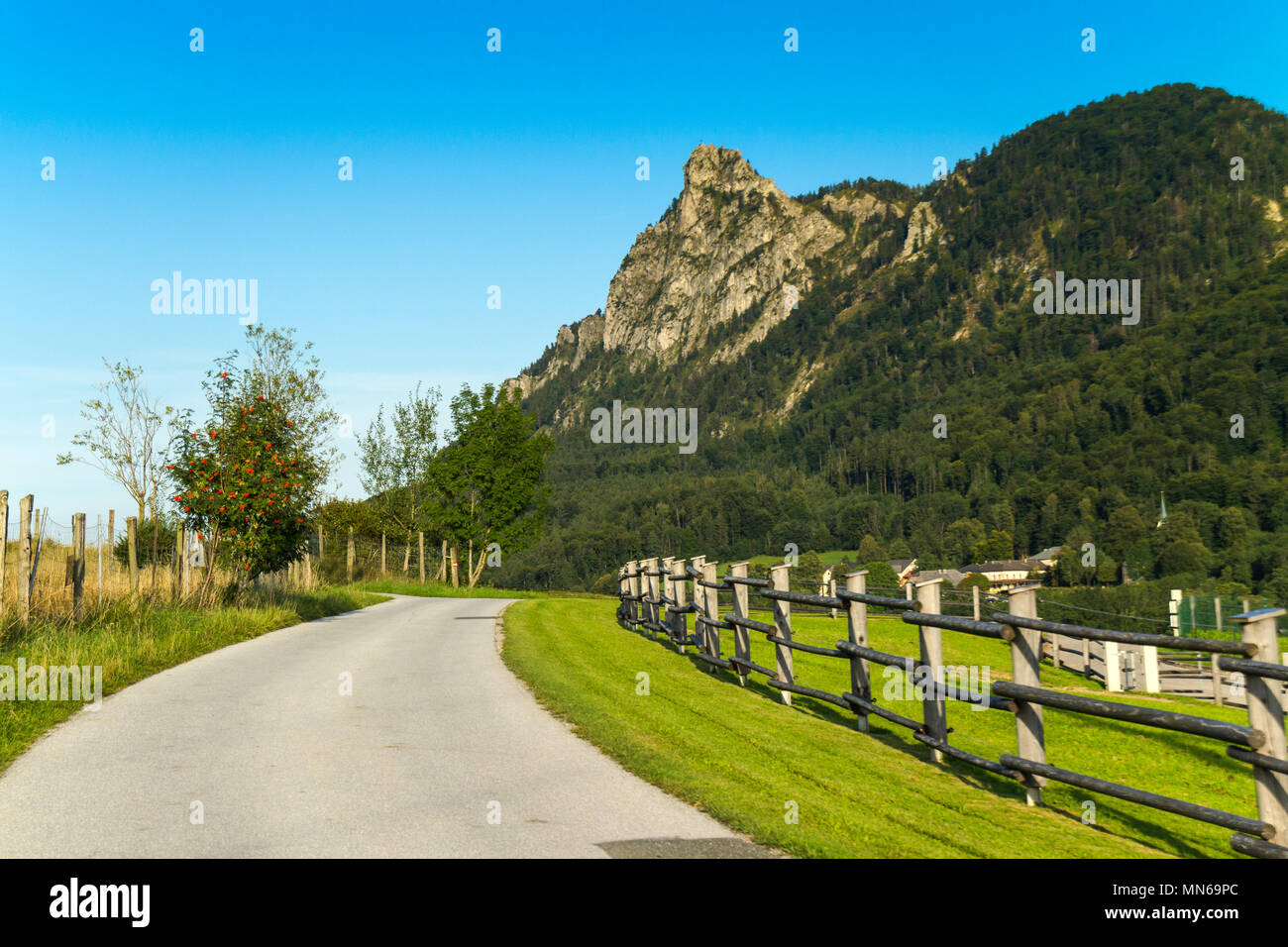 Salzburg Autriche, Heuberg à la fin de l'été, l'automne sur une journée ensoleillée Banque D'Images