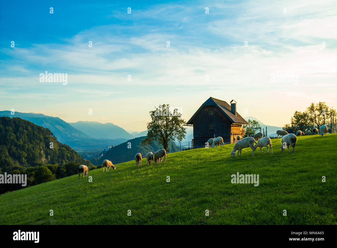 Salzburg Autriche, Heuberg à la fin de l'été, l'automne sur une journée ensoleillée Banque D'Images