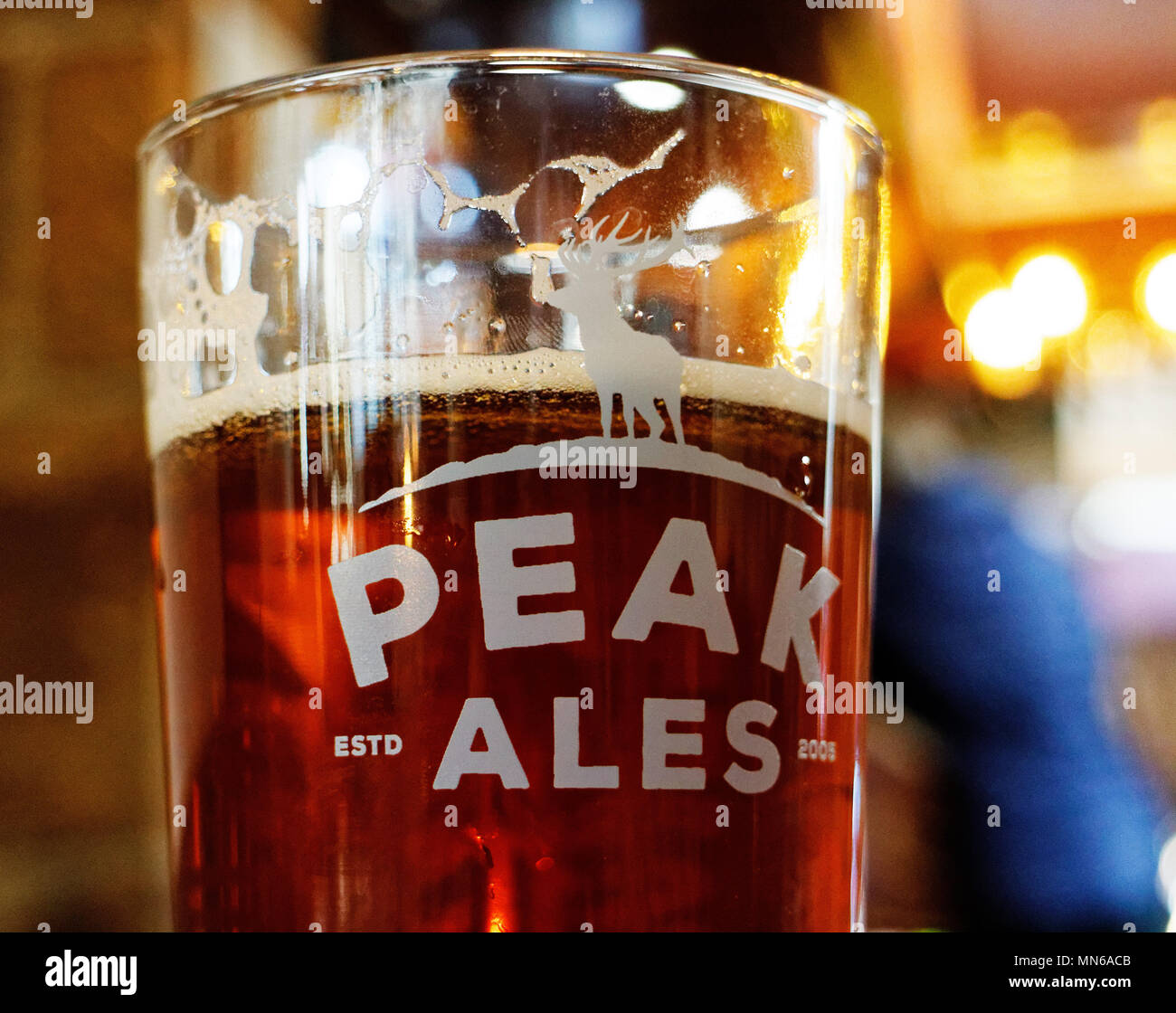 Une pinte de bière sur une table. Le pub est le Peacock Inn de Bakewell et la bière est brassée localement. Banque D'Images