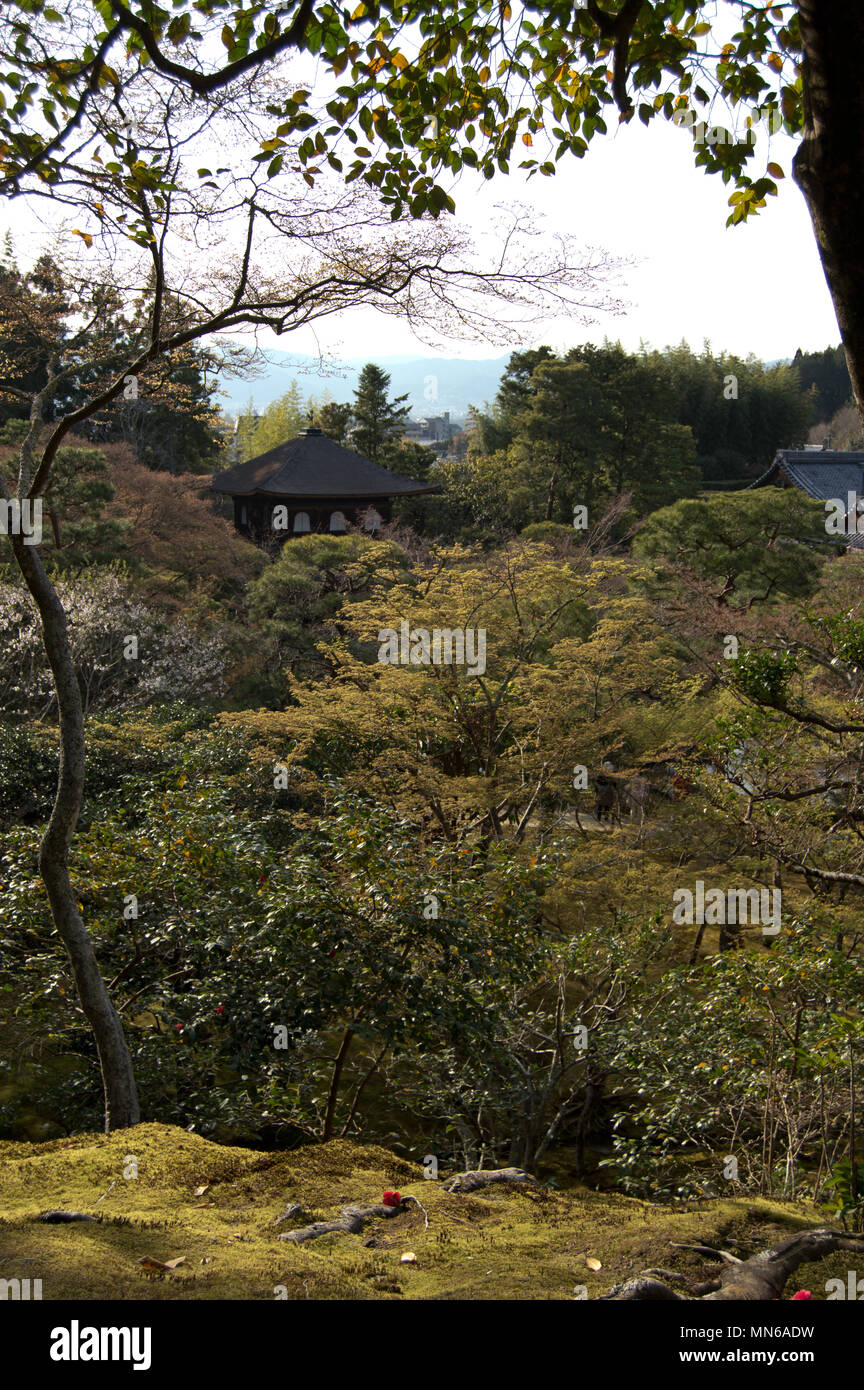 Avis de Ginkakuji (Pavillon d'argent) à partir de la colline derrière les bâtiments, Kyoto, Japon Banque D'Images