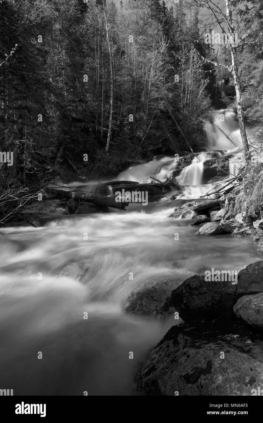 Beau mouvement lent de l'été des cascades descendant en forêt verte colline à Waterton Lakes National Park, BC Canada gris photographie créative Banque D'Images