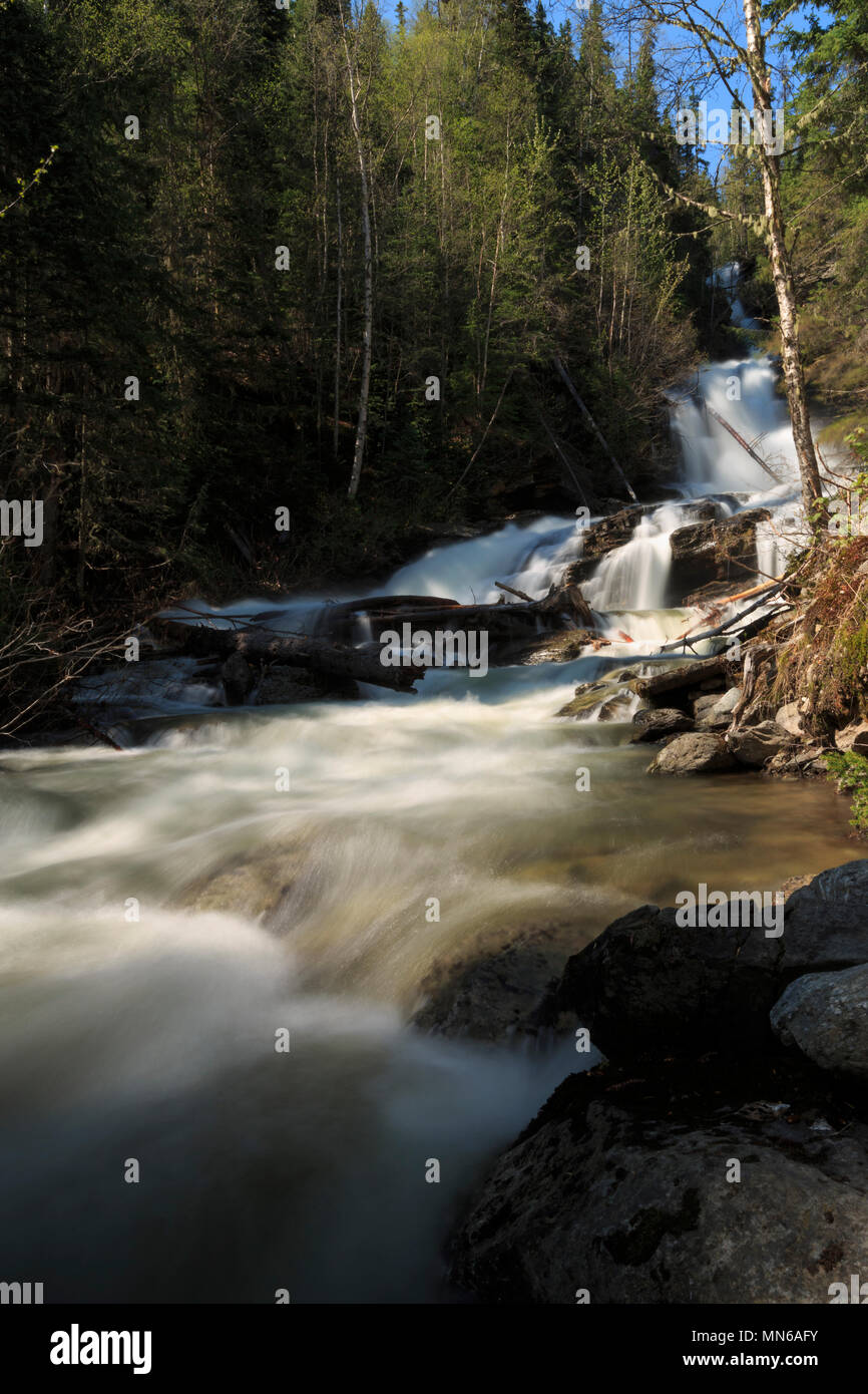 Beau mouvement lent de cascades descendant en pente de la forêt dans le parc national des Lacs-Waterton, BC Canada nature paysage pittoresque photographie créative Banque D'Images