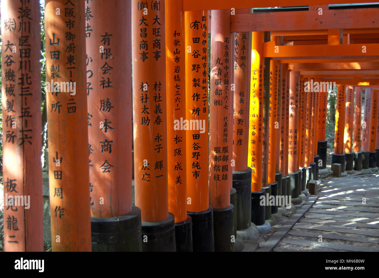Tori portes avec aucun peuple au Sanctuaire Fushimi Inari, Kyoto, Japon Banque D'Images
