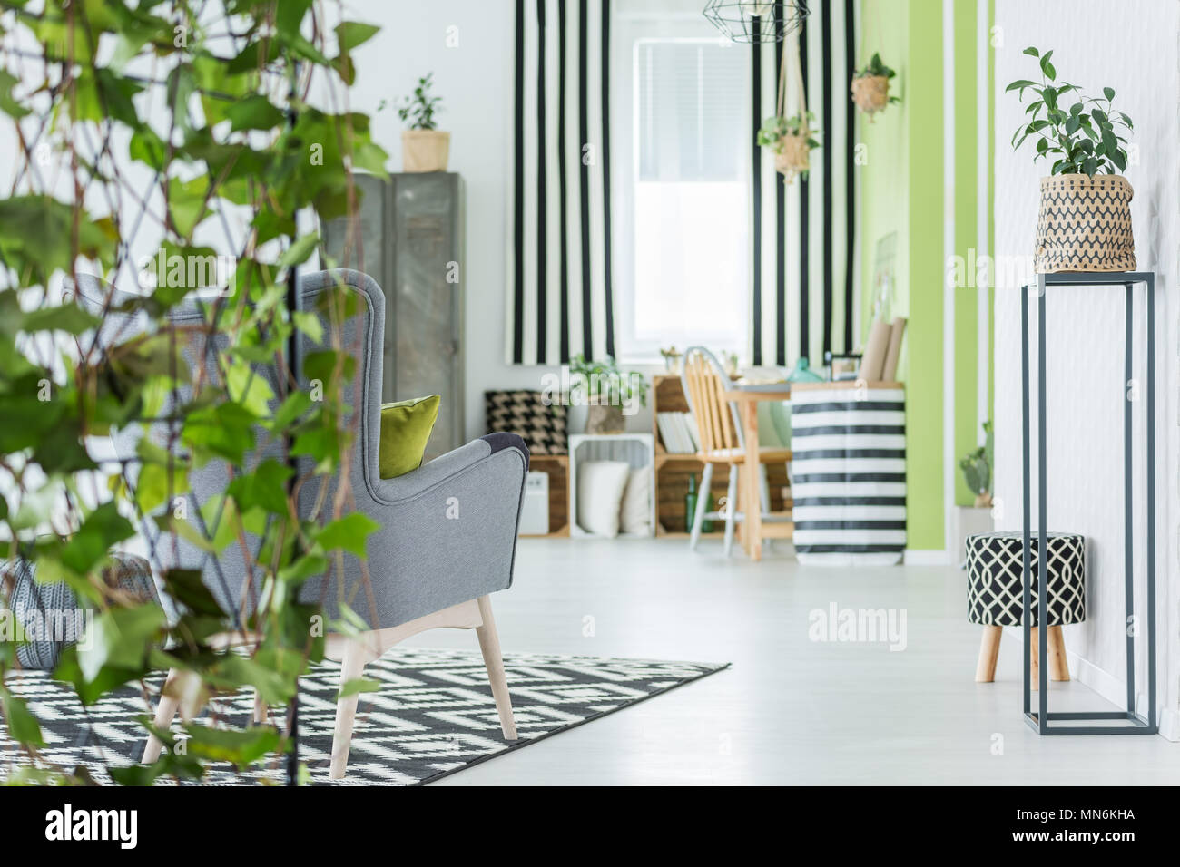 Appartement à la mode avec des plantes vertes, des accessoires tendance et fauteuil gris Banque D'Images