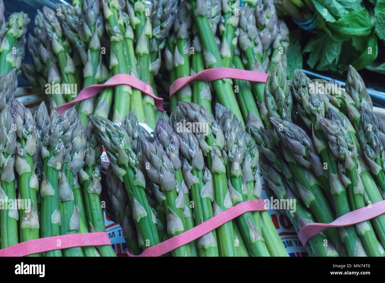 Les pointes d'asperges fraîches Banque D'Images