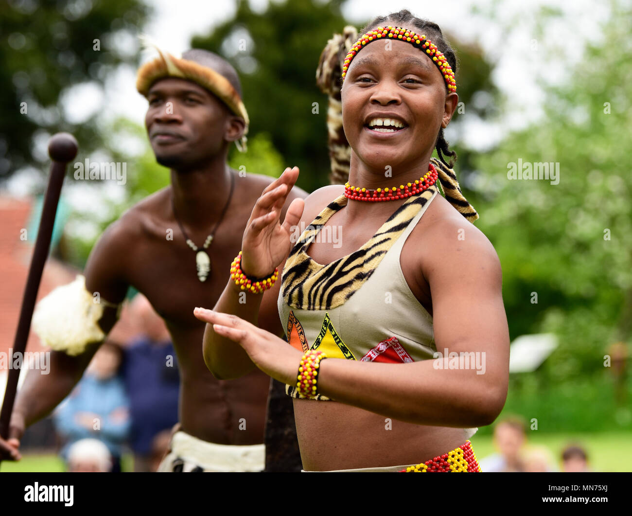 Les Lions du Zululand (un mélange culturel de musiciens et danseurs de l'Afrique du Sud, la diffusion de la culture zoulou ; www.lionsofzululand.org.uk) pendant l'exécution de t Banque D'Images
