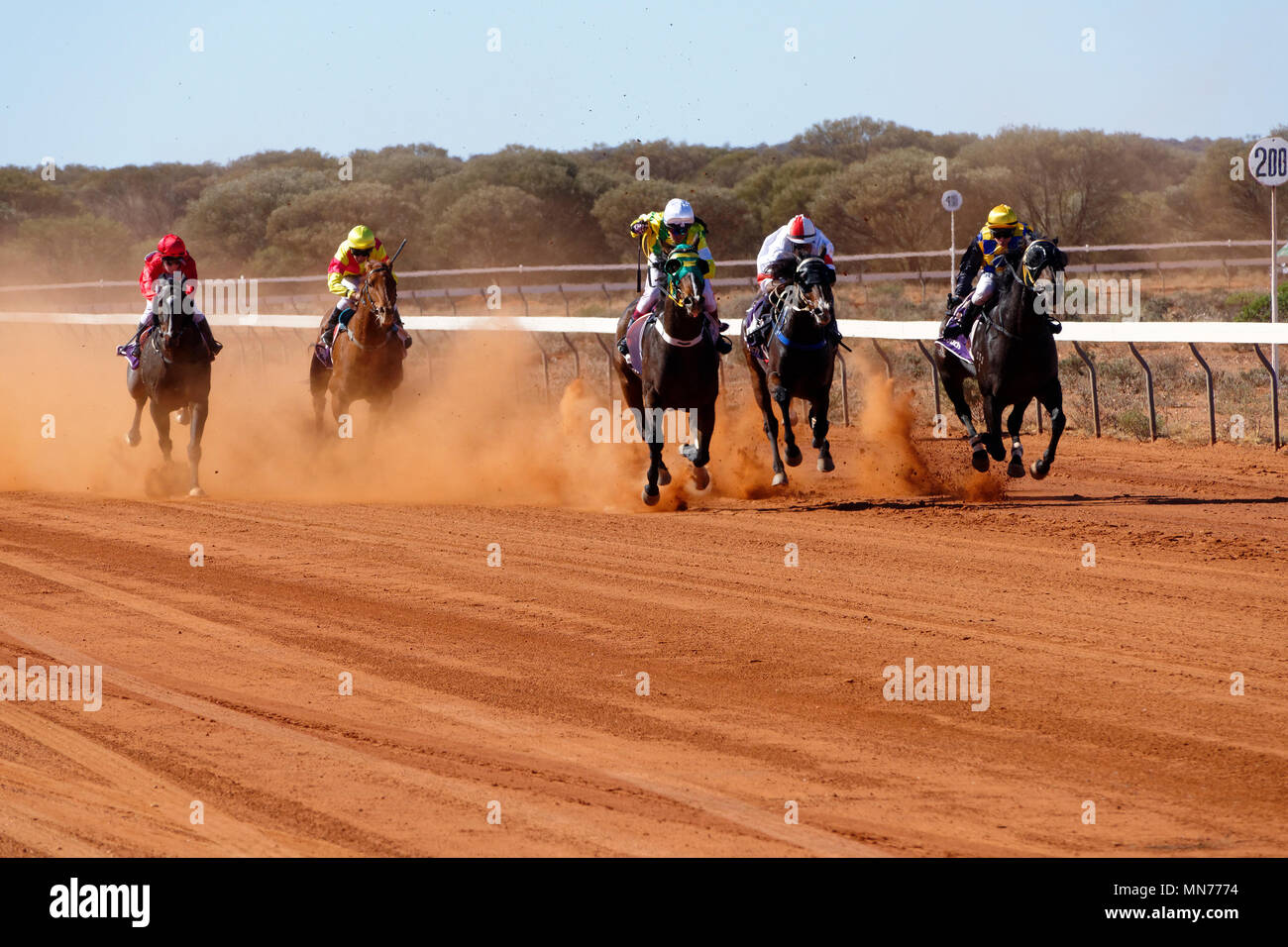 La Race Course de chevaux sur un chemin de terre, Mt Magnet, l'Est de l'or, de l'Australie-Occidentale Banque D'Images