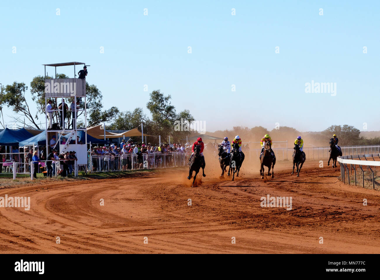 Chevaux de course après course en tirant sur un chemin de terre, Mt Magnet, l'Est de l'or, de l'Australie-Occidentale Banque D'Images