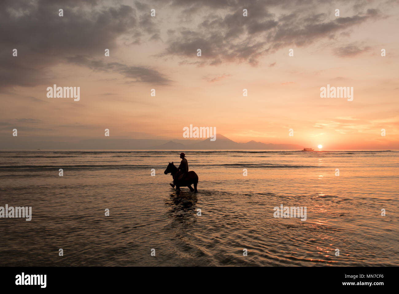 Un homme cheval d'équitation pendant le coucher du soleil dans la belle plage de Gili Trawangan island Banque D'Images
