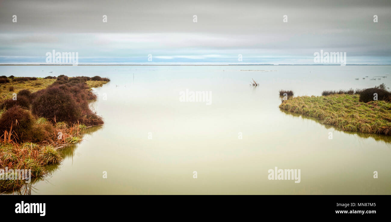 Lac calme sous ciel couvert. Une longue exposition, floue d'oiseaux sur le lac. Banque D'Images