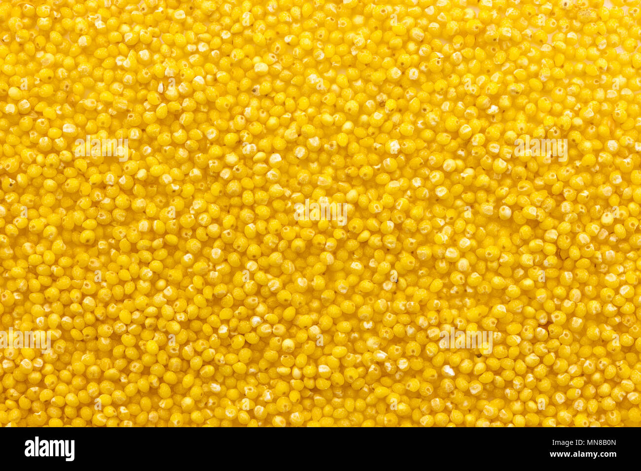 La texture du mil ou l'arrière-plan. Vue d'en haut Banque D'Images