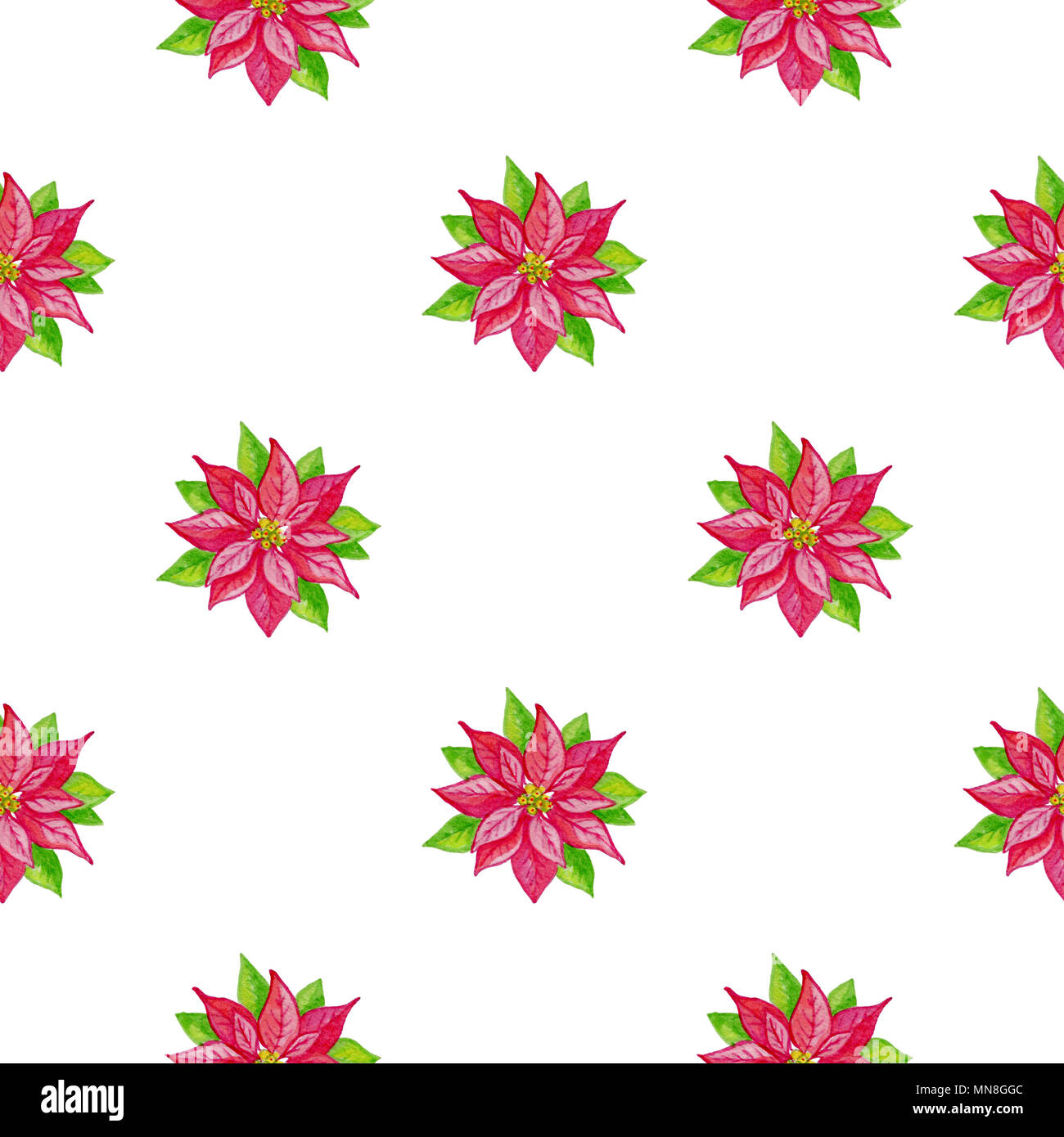 Aquarelle de Noël décoratif motif transparent avec les fleurs rouges sur fond blanc Banque D'Images