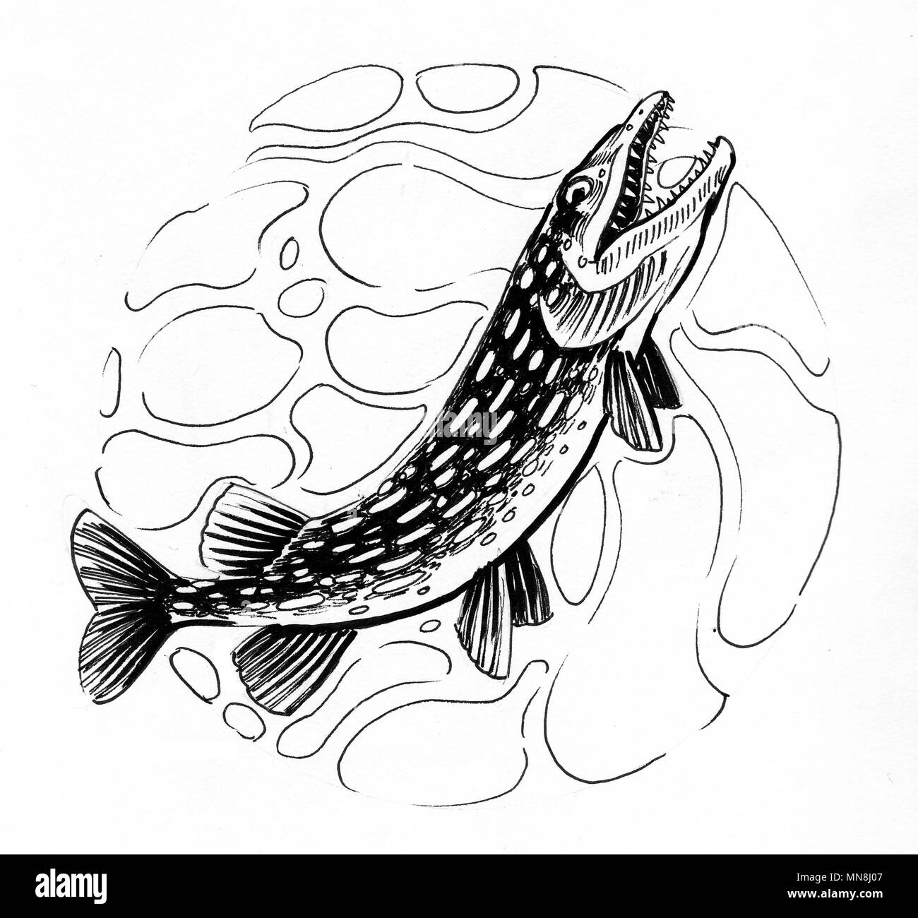 Les Petits Poissons Dans Leau Les Chansons De Pinpin Et Lili