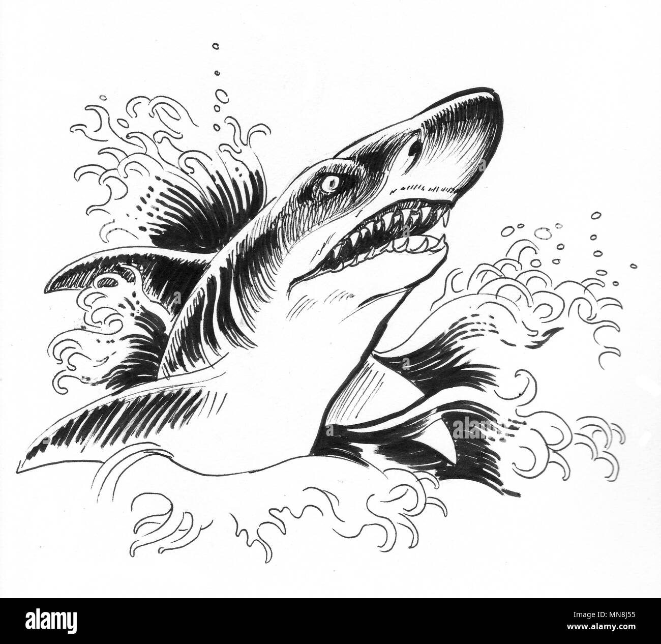 Requins en colère dans les vagues. Illustration noir et blanc Encre Banque D'Images