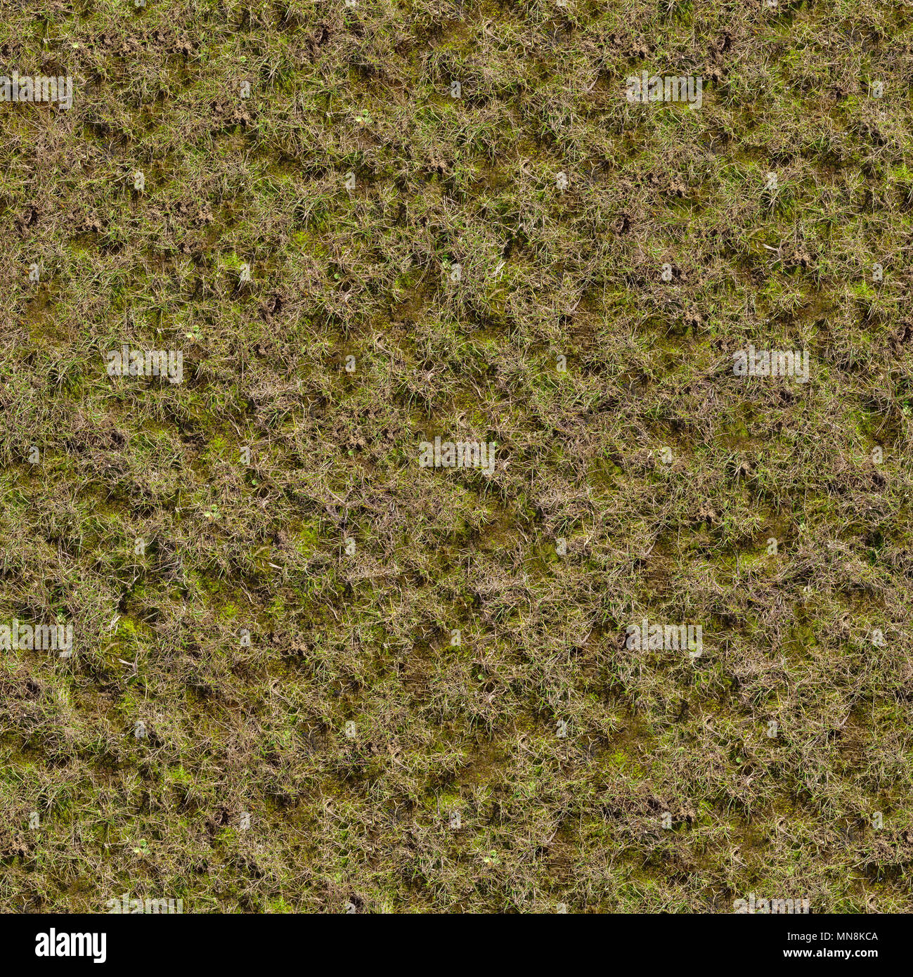 Texture Mousse Target Crackle seamless texture Banque de photographies et d’images à haute ...