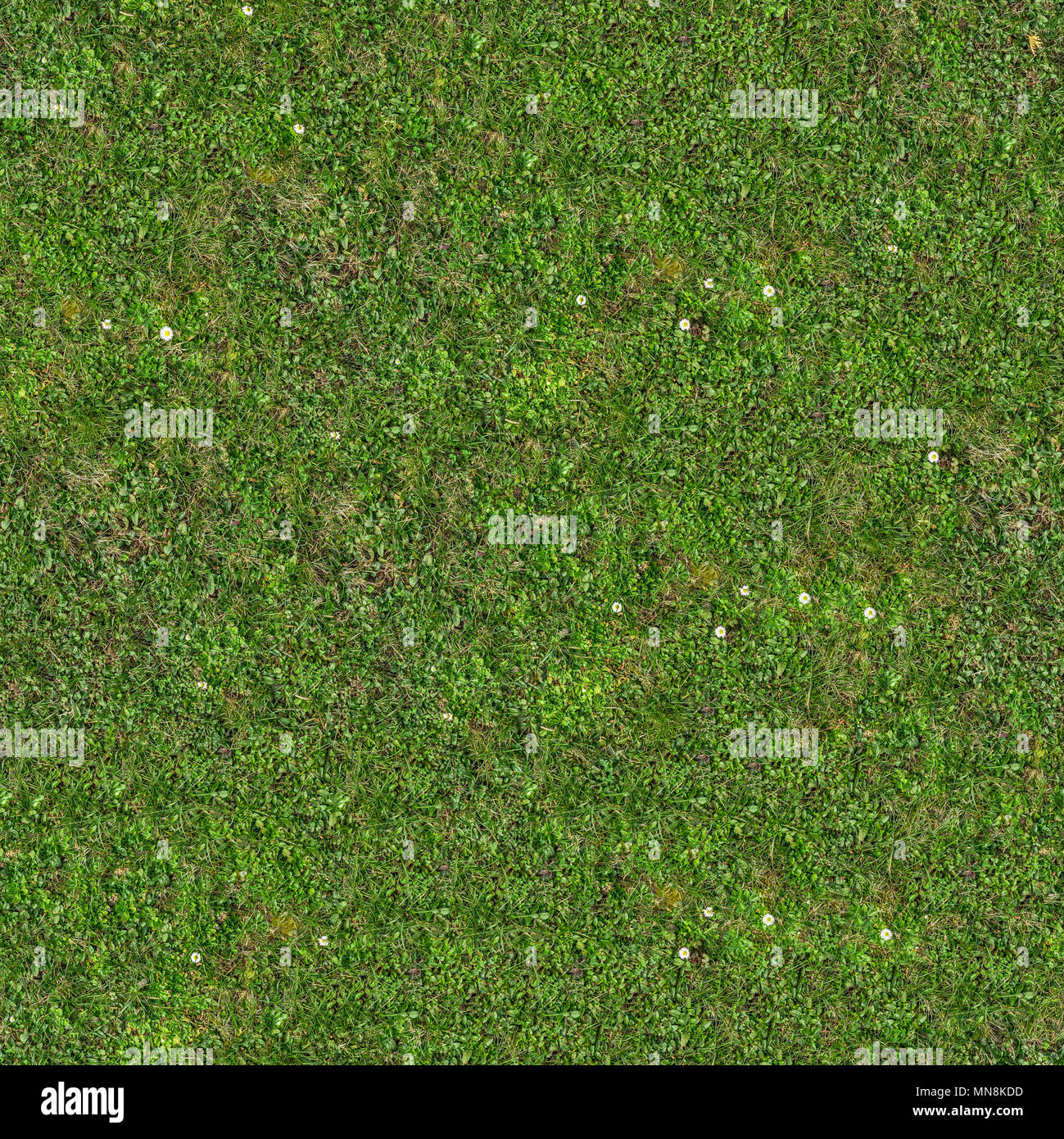 L'herbe verte. Seamless Texture Mosaïque. Banque D'Images