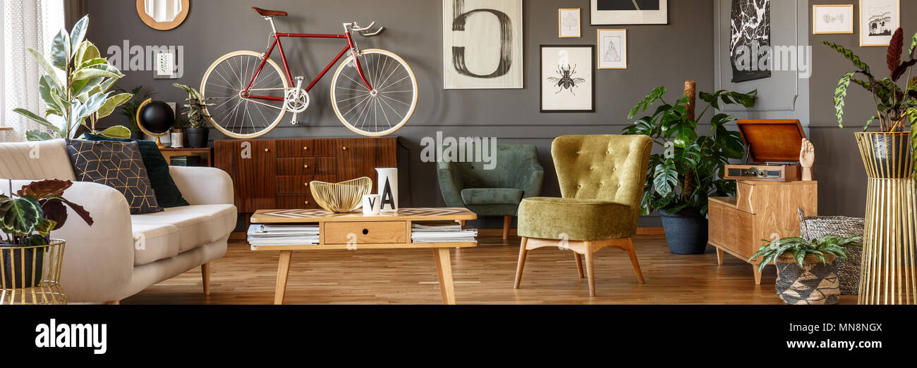 Vélo rouge et blanc placé sur une armoire en bois en gris salon intérieur avec des plantes fraîches et des affiches Banque D'Images