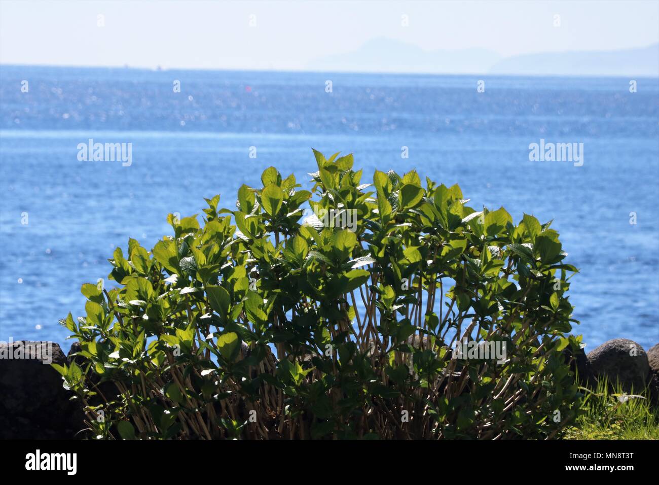 Belle Dunoon sur le Firth of Clyde sur la péninsule de Cowal, Argyll and Bute, Ecosse, Royaume-Uni montrant une vue panoramique de l'eau et de montagnes. Banque D'Images