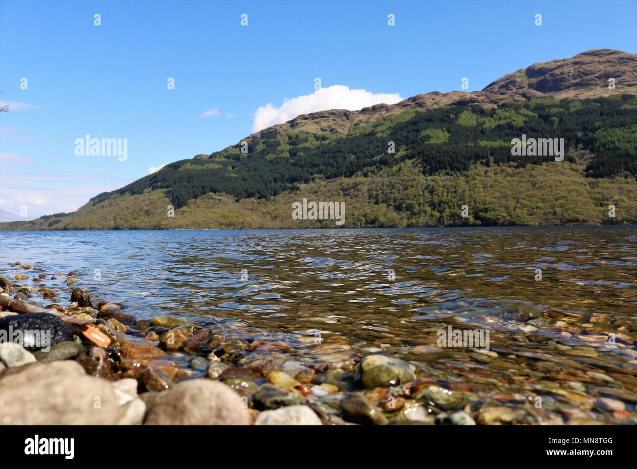 Magnifique Loch Lomond, Ecosse, ROYAUME UNI sur une journée ensoleillée claire montrant l'eau et montagnes dans une vue à couper le souffle. Une attraction touristique populaire. Banque D'Images