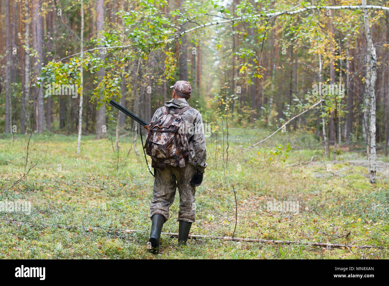 Hunter avec fusil de chasse et son sac à dos marcher en forêt Banque D'Images