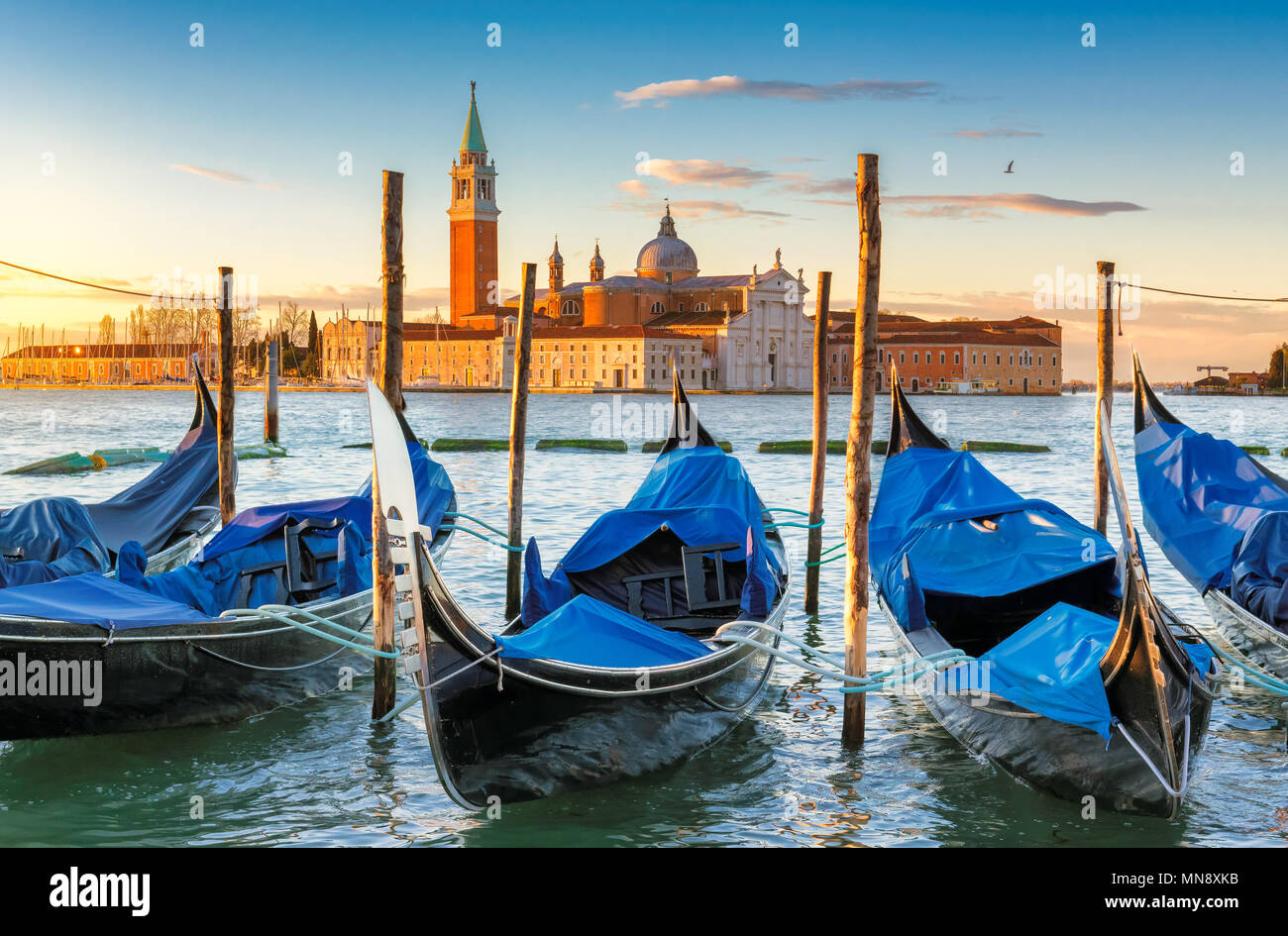 Les gondoles de Venise près de Place San Marco, au lever du soleil, Grand Canal, Venise, Italie. Banque D'Images