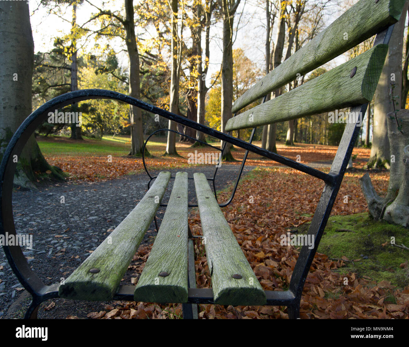 Clôture de la forêt en Rowallane Park. Banque D'Images