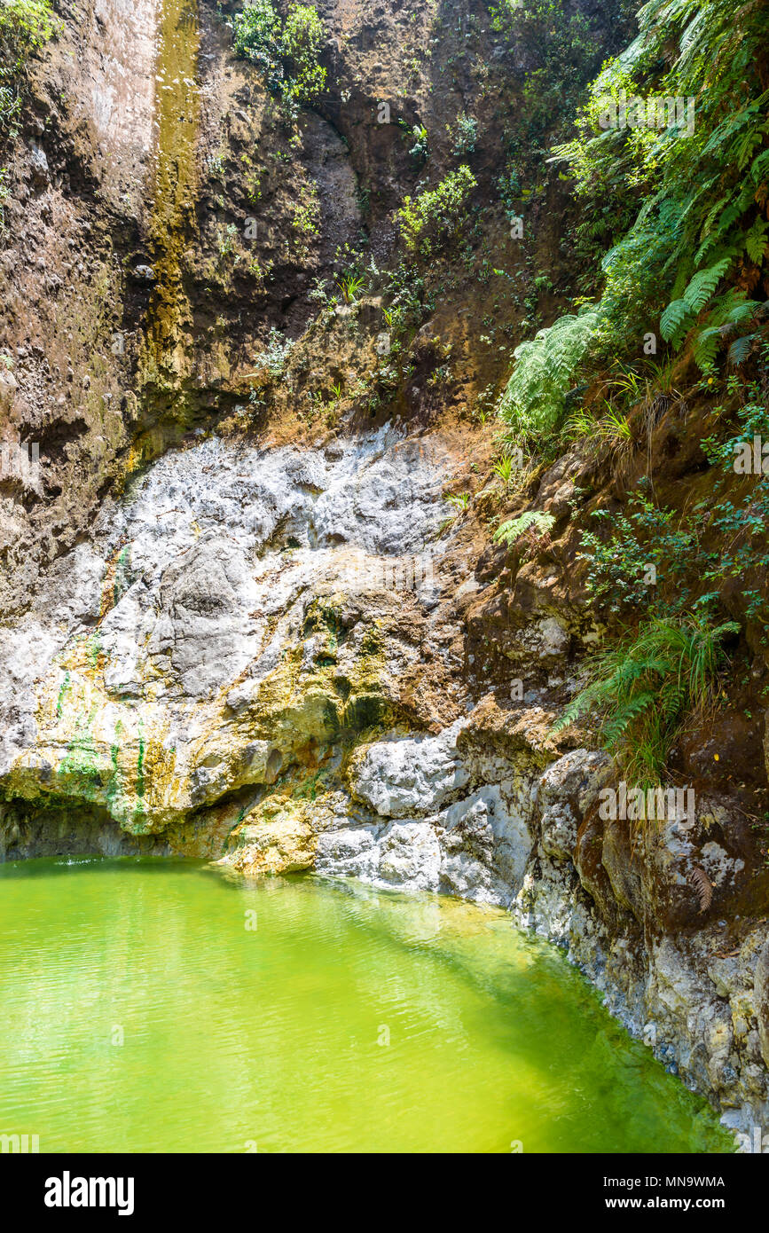 Piscine naturelle de Fuentes Georginas - hot springs autour de Zunil et Quetzaltenango - Xela, Guatemala Banque D'Images