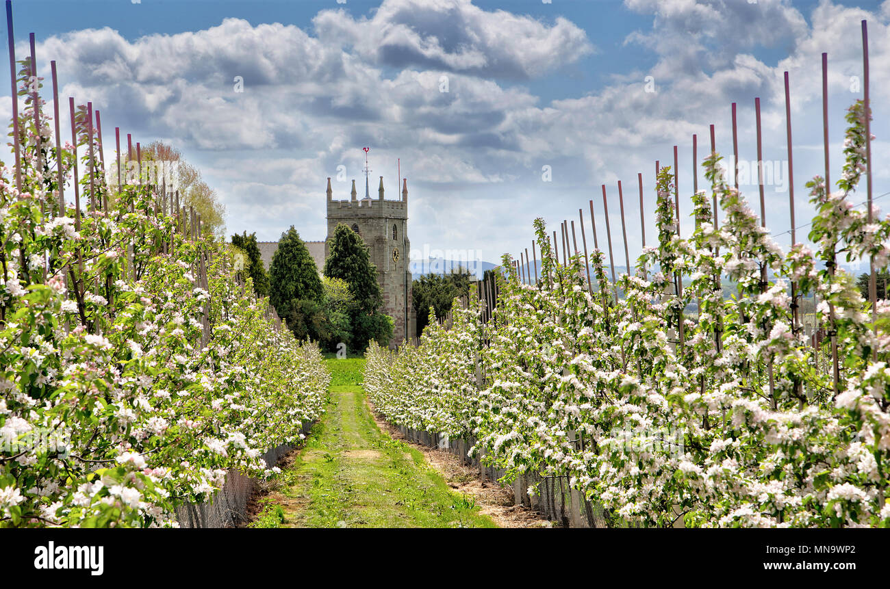 Burghill Banque de photographies et d’images à haute résolution Alamy