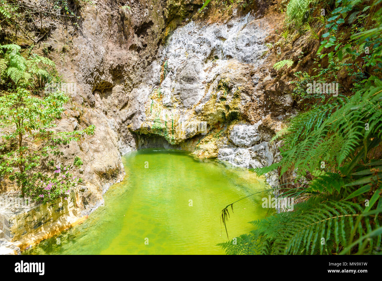 Piscine naturelle de Fuentes Georginas - hot springs autour de Zunil et Quetzaltenango - Xela, Guatemala Banque D'Images