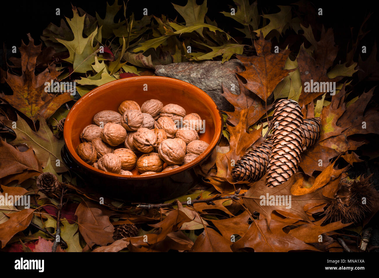 La vie encore d'automne composition avec vert, jaune, marron, orange et rouge des feuilles, branches, pommes de pin, un pot de terre cuite rustique avec des noix, les brins et un sto Banque D'Images