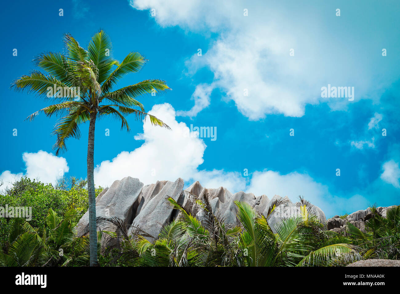 Low angle view of rocks au milieu d'arbres contre le ciel, l'île de Grande Soeur, Seychelles Banque D'Images