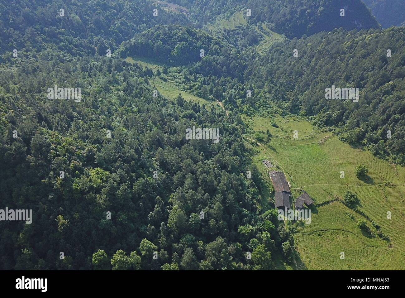 Suiyang. 15 mai, 2018. Photo aérienne prise le 15 mai 2018 affiche paysage de Kuankuoshui Réserve naturelle nationale dans le comté de Suiyang, sud-ouest de la Chine dans la province du Guizhou. Credit : Ou Dongqu/Xinhua/Alamy Live News Banque D'Images