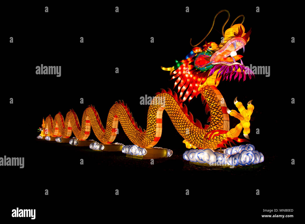 Image d'un dragon contre fond noir pur sur la Chine Lights Festival dans le zoo d'Anvers. Banque D'Images