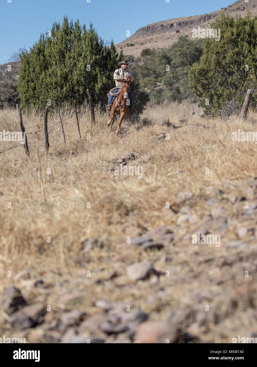 Authentic Cowboys Banque D'Images