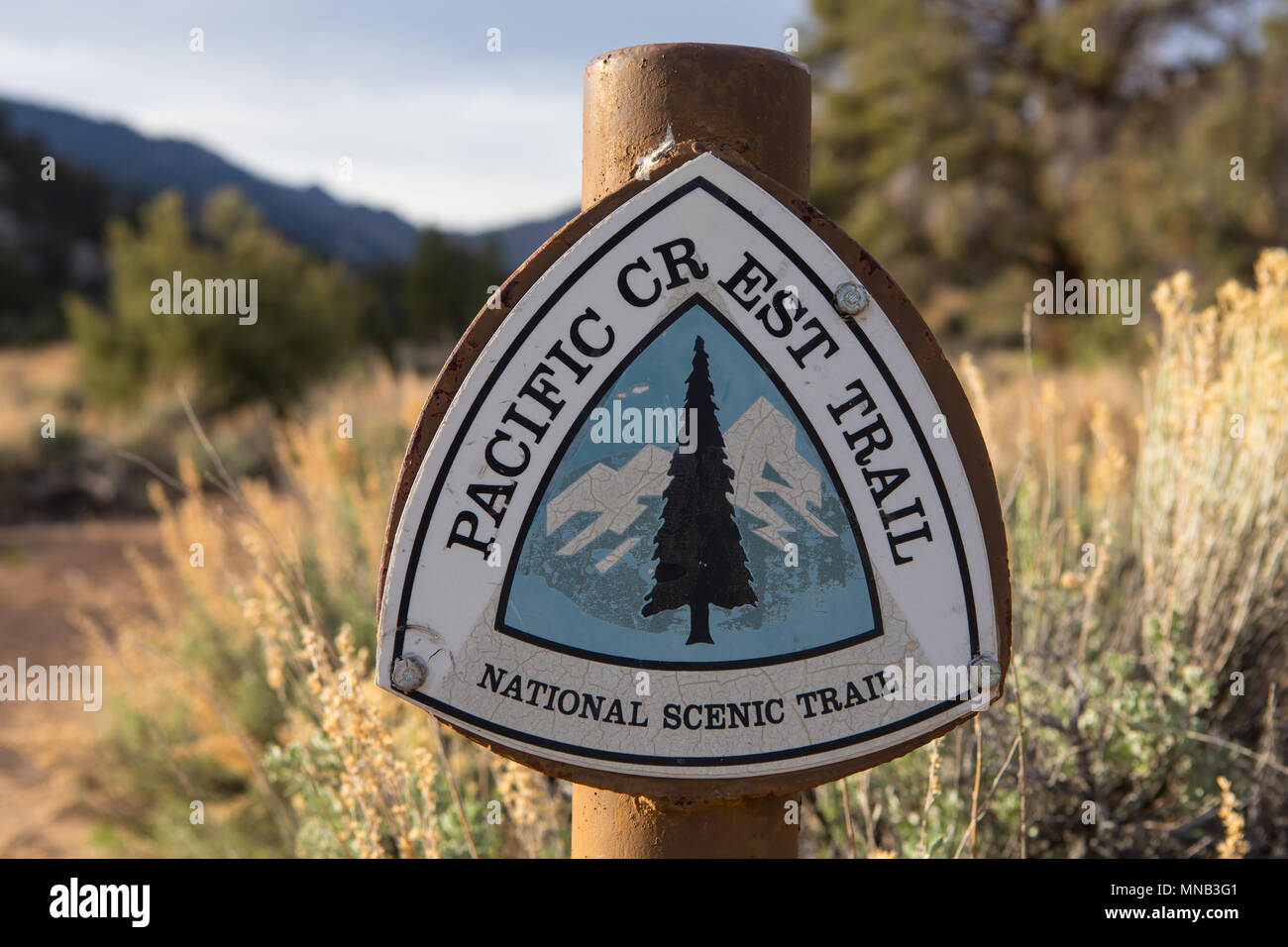 Pacific Crest Trail sign in camping Des Kennedy un célèbre arrêt pour randonneurs sur le sentier du PCT California USA Banque D'Images