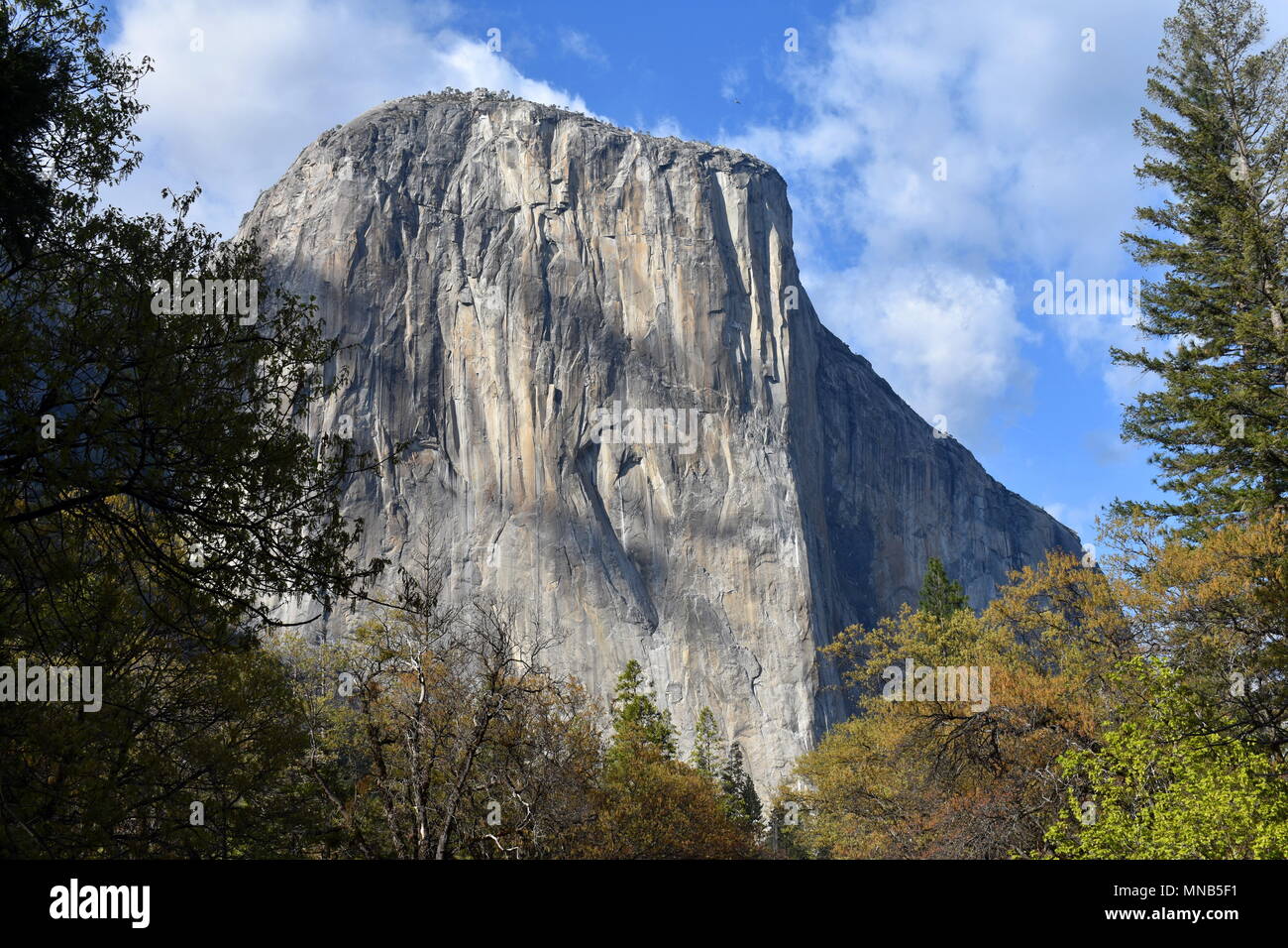 L'étonnante falaise El Capitan, Yosemite National Park, Californie Banque D'Images