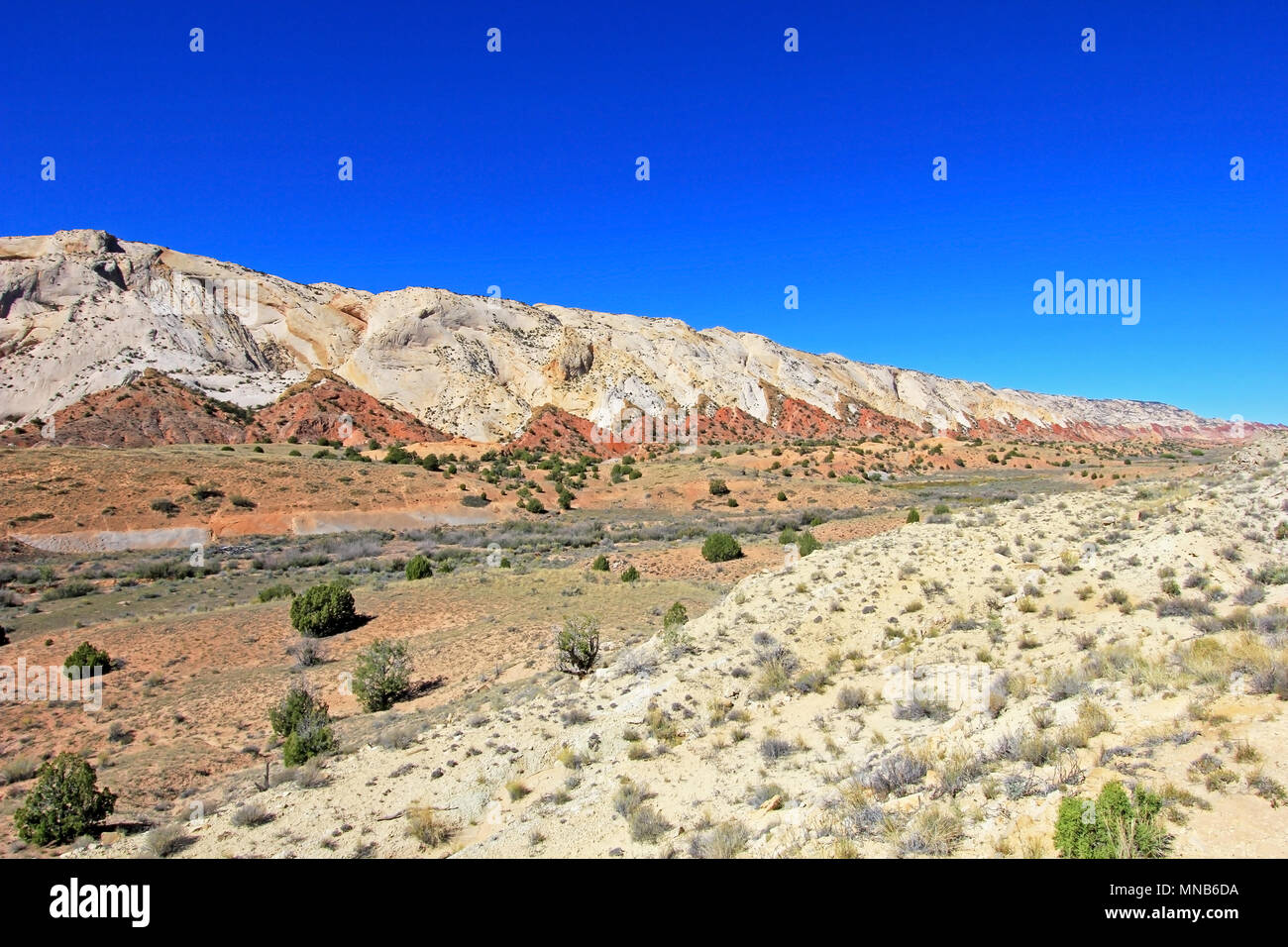 Le Waterpocket Fold dans Capitol Reef National Park, États-Unis Banque D'Images