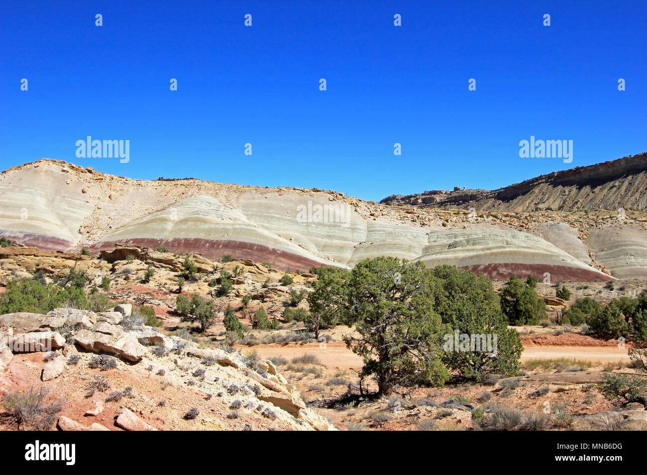 Le Waterpocket Fold dans Capitol Reef National Park, États-Unis Banque D'Images