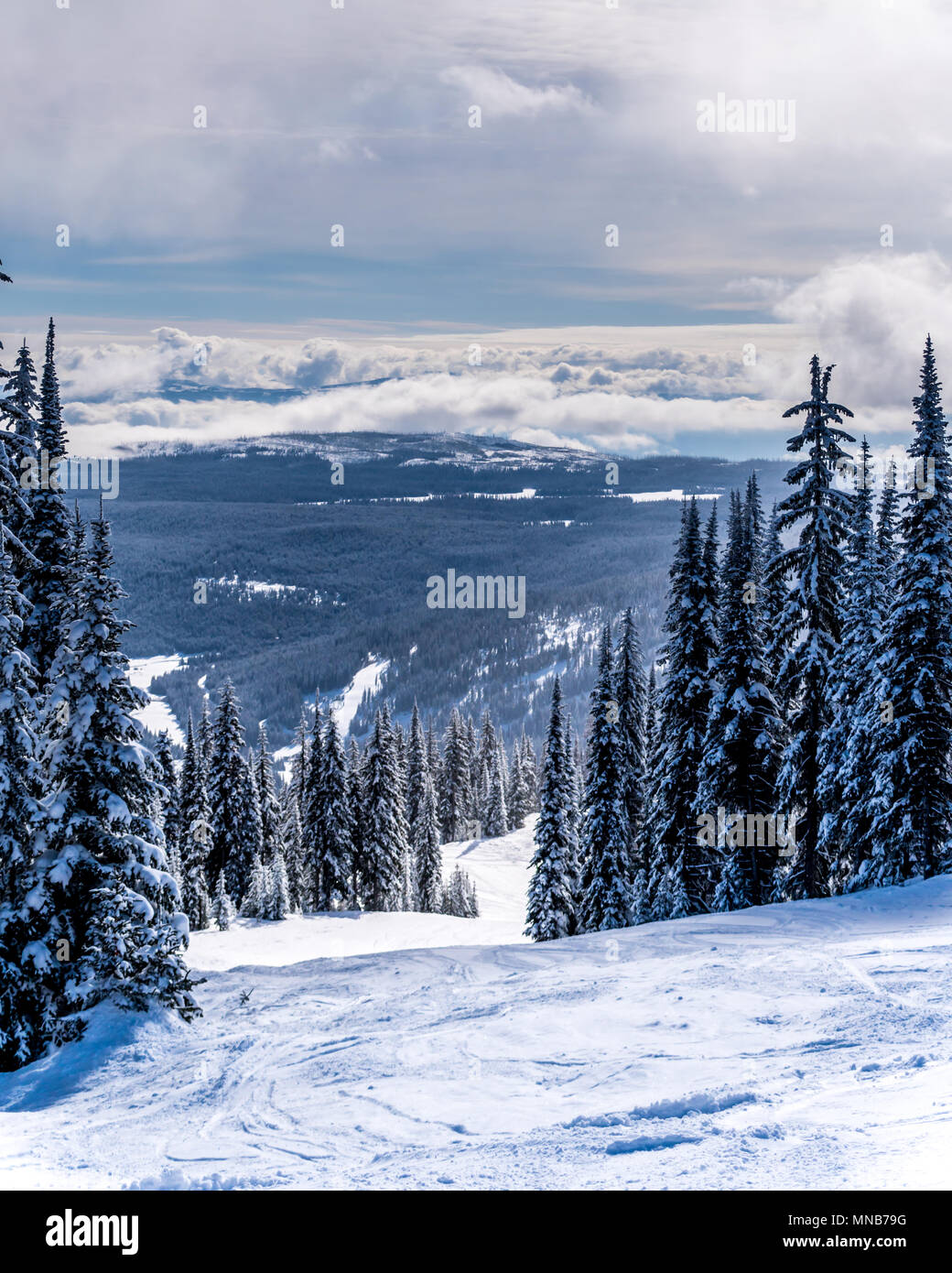 Une vue de l'exécution noir appelé Cinquième Avenue à la magnifique station de ski de Sun Peaks dans la belle province de la Colombie-Britannique, Canada Banque D'Images