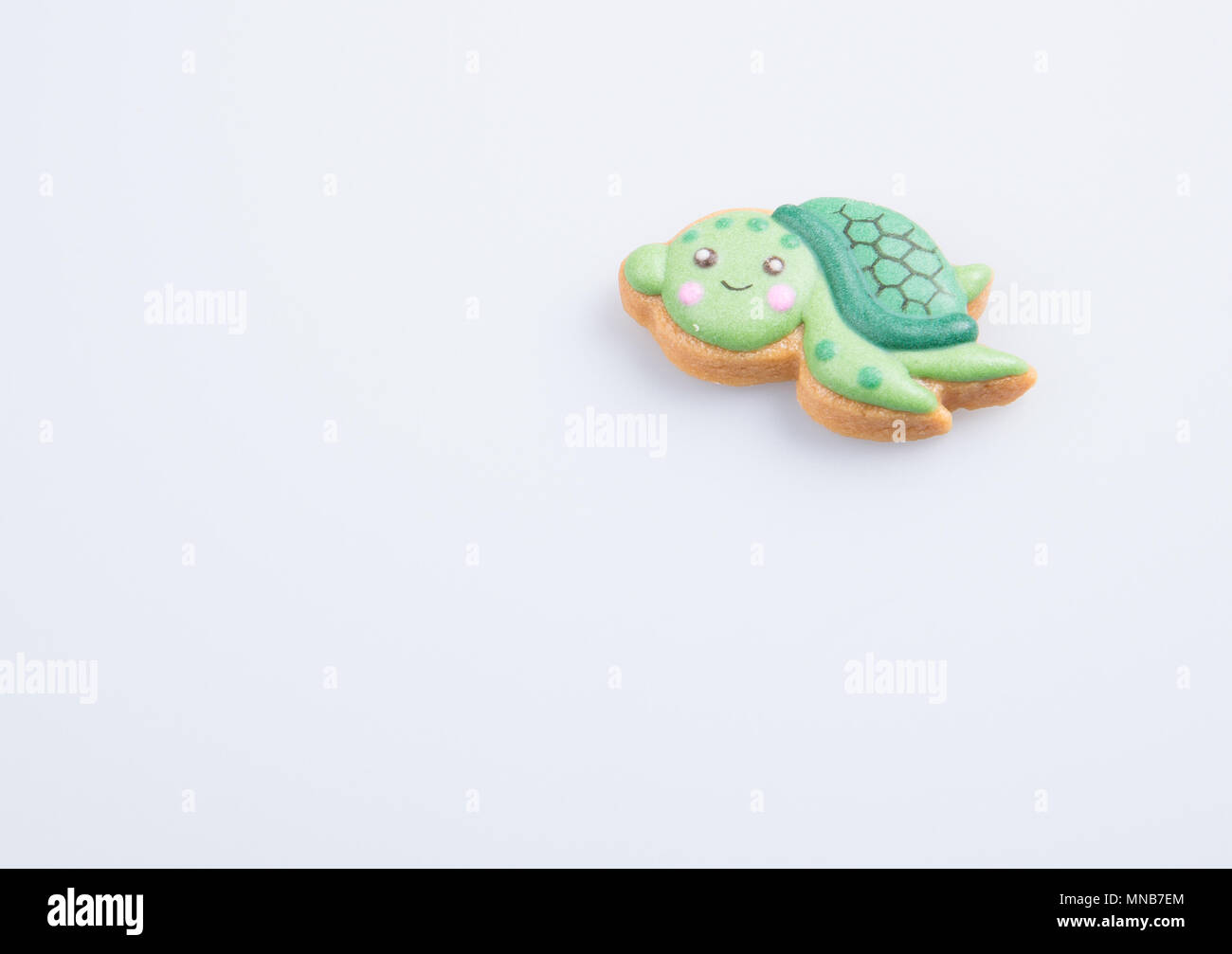 Decoration De Gateaux Faits Maison Ou Tortue Sur Un Fond De Decoration De Gateau Photo Stock Alamy